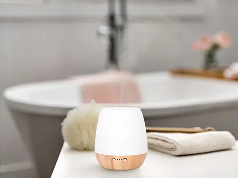 Bathroom that Diffusers Applied