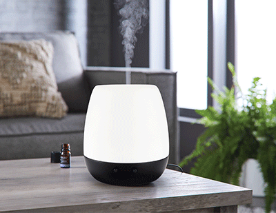 What Happens When You Put Too Much Essential Oil in Air Freshener Diffuser (Electric)?