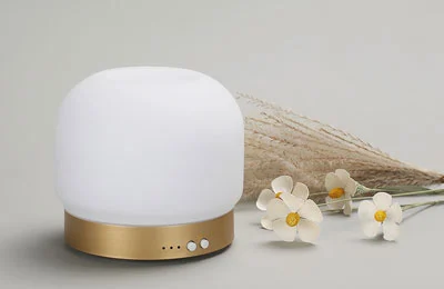 Super Quiet Bedroom Ultrasonic Air Aroma Humidifier Can Make You Feel Relief