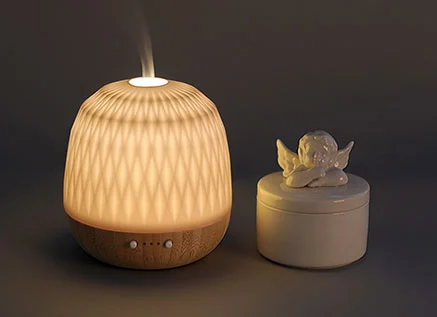 What Can I Put in My Aroma Diffuser?