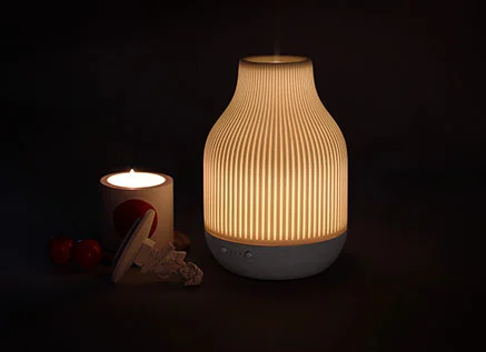 Can You Use a Diffuser as a Humidifier?