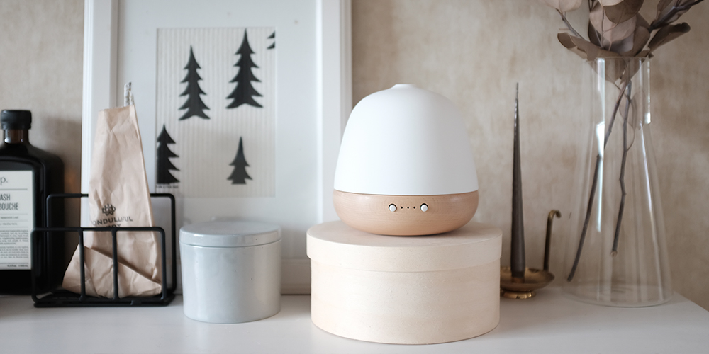 Room-Transforming Scents: The Power of Ceramic Electric Diffusers in Large Areas